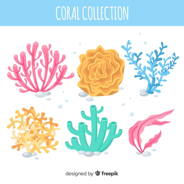 Collezione di corallo piatto
