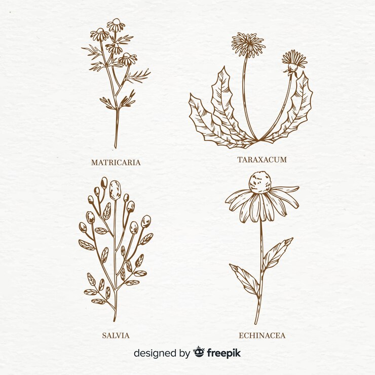 Vettore gratuito collezione di disegni di fiori