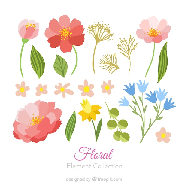 Collezione di elementi floreali colorati con design piatto
