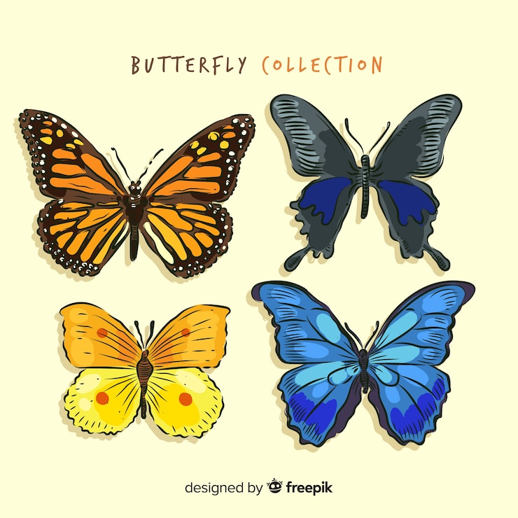 Vettore gratuito collezione di farfalle disegnate a mano realistiche