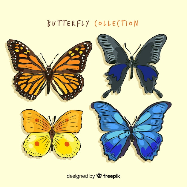 Collezione di farfalle disegnate a mano realistiche