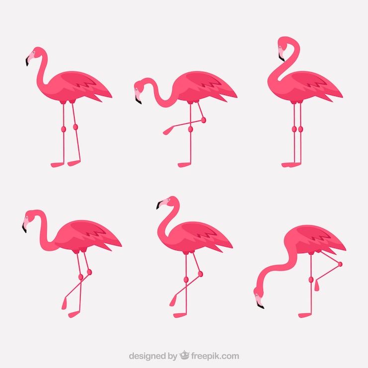 Vettore gratuito collezione di fenicotteri con diverse posture in stile piatto