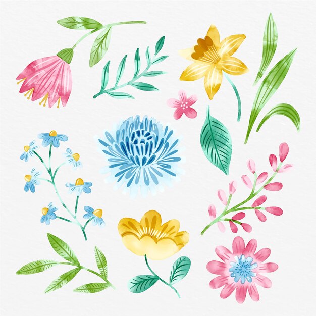 Collezione di fiori ad acquerelli dipinti a mano