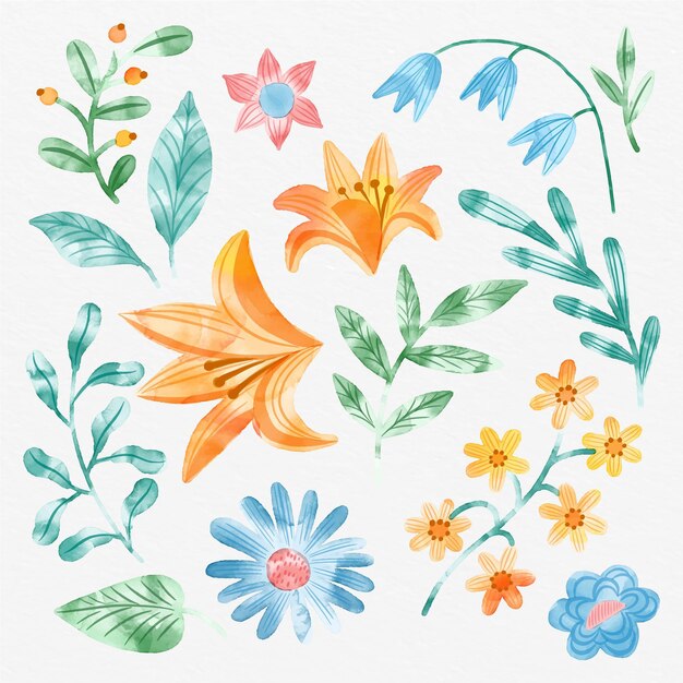 Collezione di fiori ad acquerelli dipinti a mano