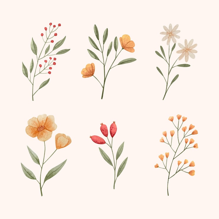 Vettore gratuito collezione di fiori ad acquerelli dipinti a mano