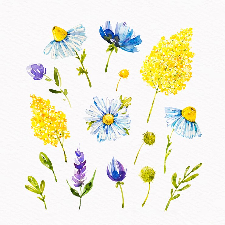 Vettore gratuito collezione di fiori che sbocciano primavera dell'acquerello