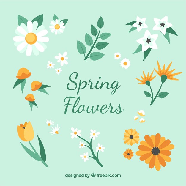 Collezione di fiori di primavera piatta