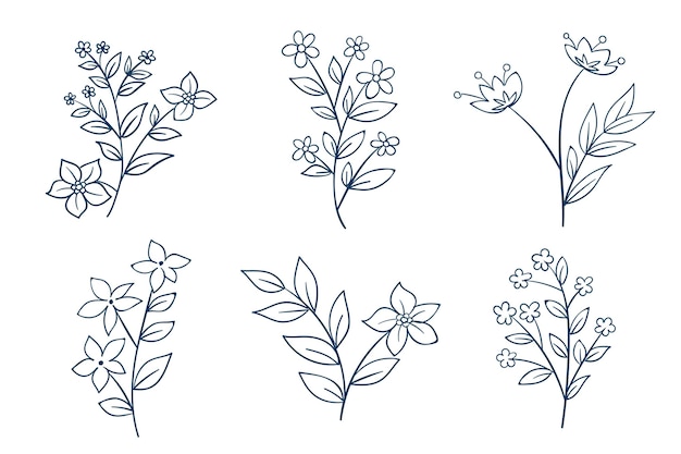 Collezione di fiori disegnati a mano
