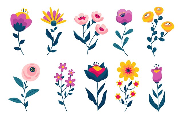 Collezione di fiori disegnati a mano