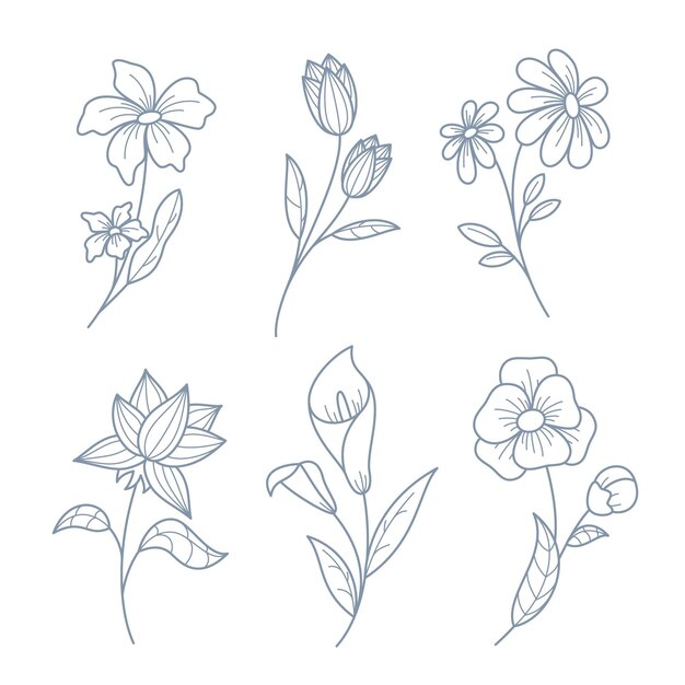 Collezione di fiori disegnati a mano
