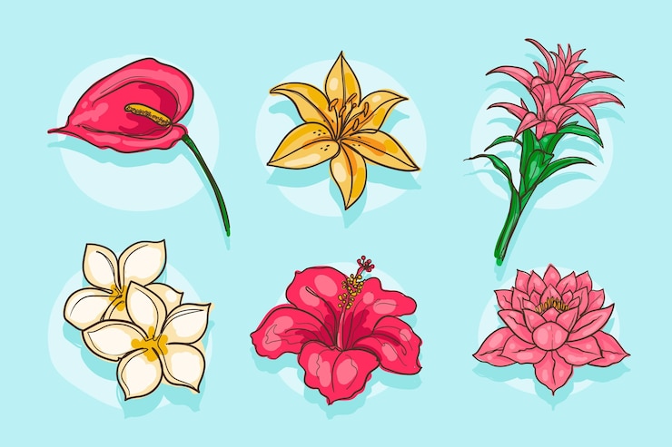 Vettore gratuito collezione di fiori disegnati a mano