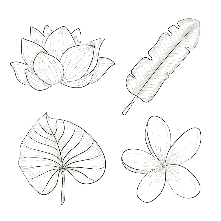 Vettore gratuito collezione di fiori e foglie tropicali