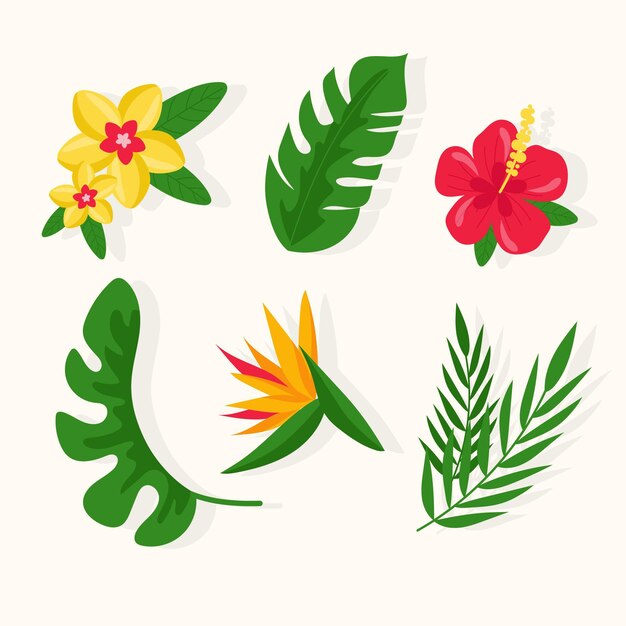 Collezione di fiori e foglie tropicali