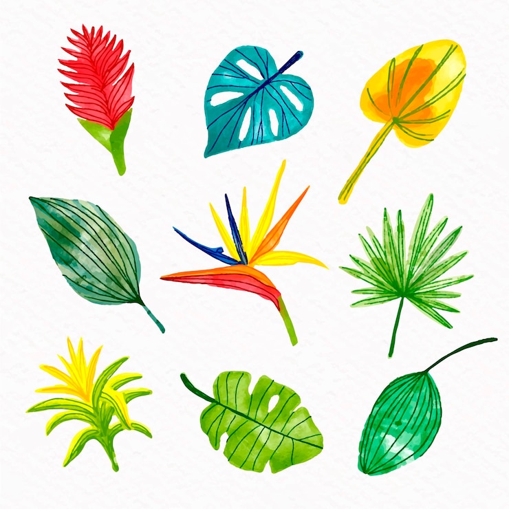 Vettore gratuito collezione di fiori e foglie tropicali