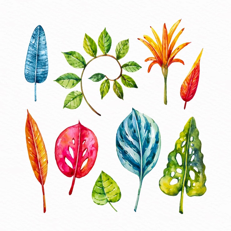 Vettore gratuito collezione di fiori e foglie tropicali