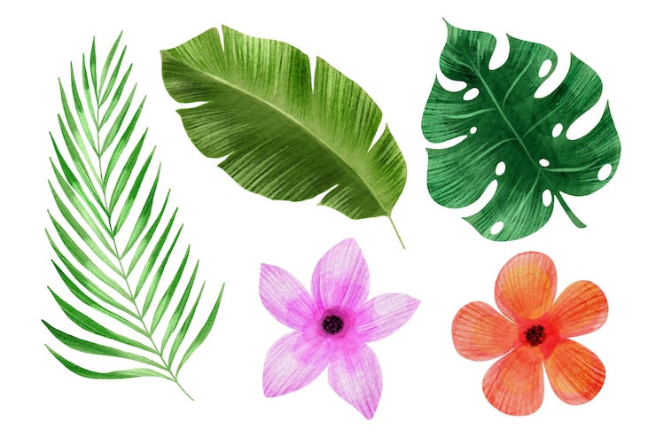 Vettore gratuito collezione di fiori e foglie tropicali