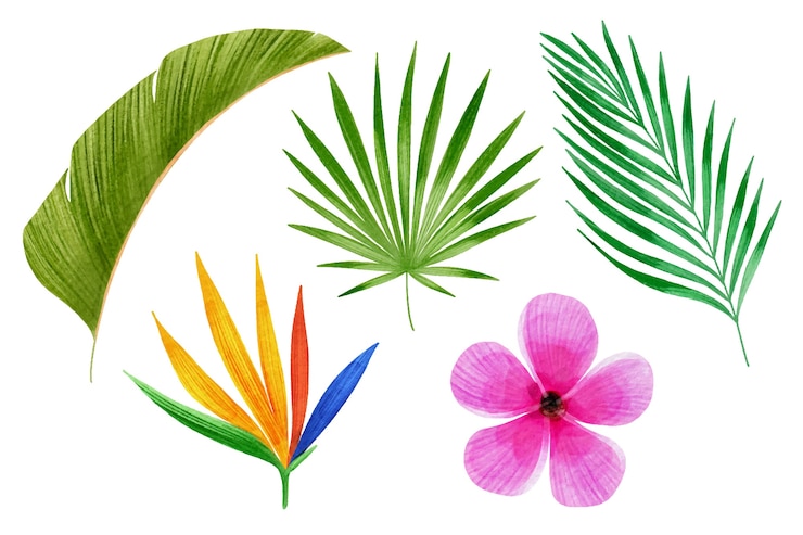 Vettore gratuito collezione di fiori e foglie tropicali