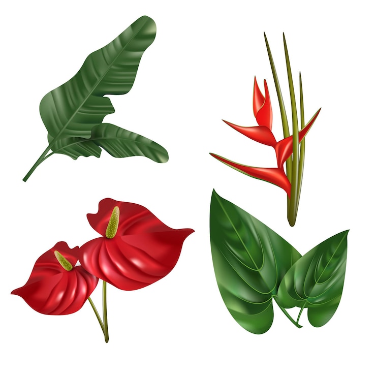 Vettore gratuito collezione di fiori e foglie tropicali