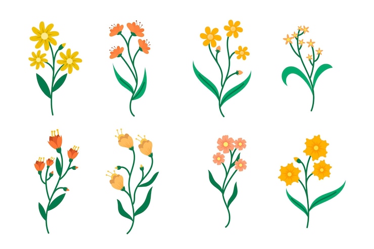 Vettore gratuito collezione di fiori piatti organici