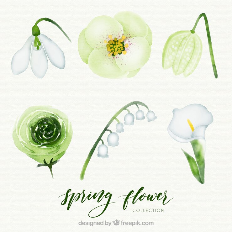 Vettore gratuito collezione di fiori primaverili dell'acquerello