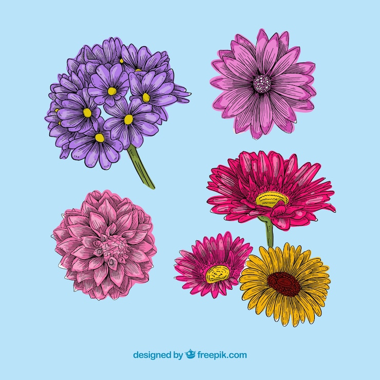 Vettore gratuito collezione di fiori primaverili disegnati a mano