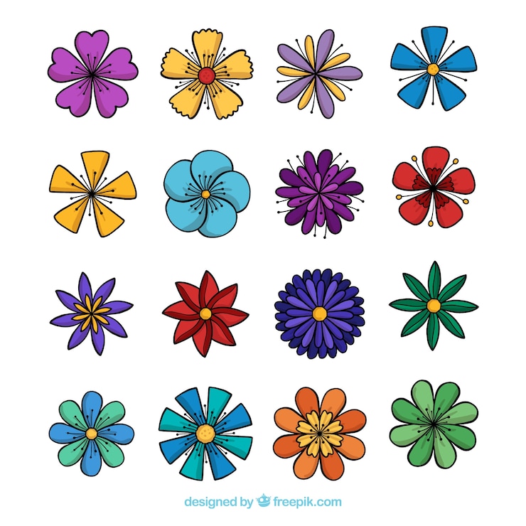 Vettore gratuito collezione di fiori primaverili disegnati a mano