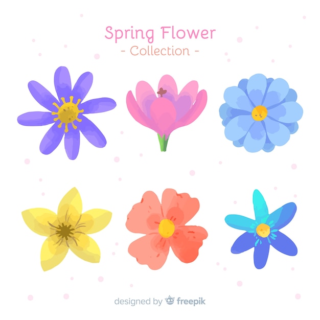 Collezione di fiori primaverili disegnati a mano