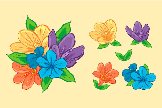 Collezione di fiori primaverili disegnati a mano