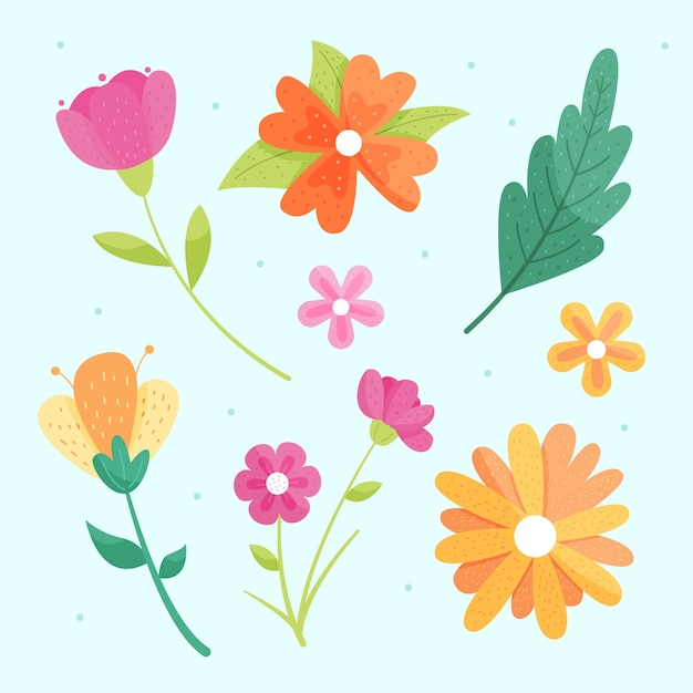 Collezione di fiori primaverili disegnati a mano