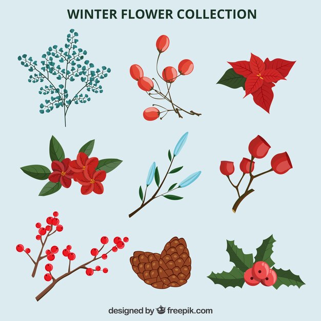 Collezione di fiori rossi invernali