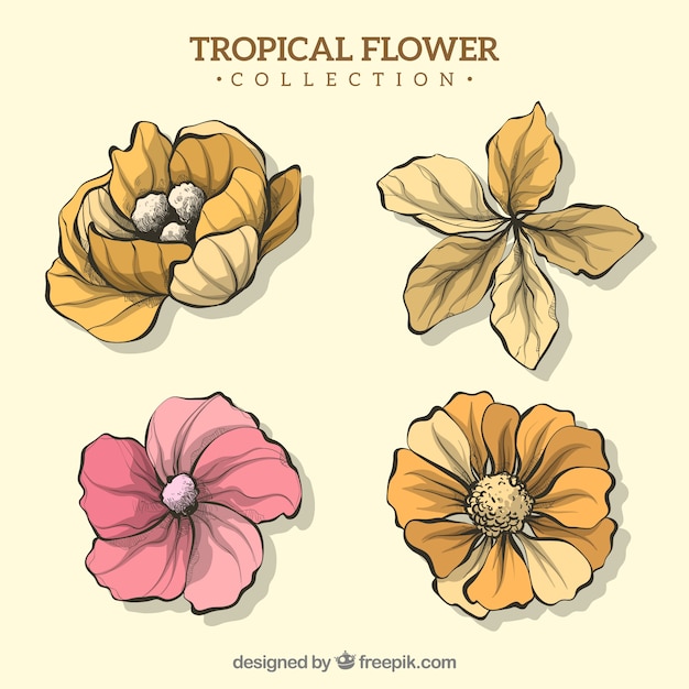 Collezione di fiori tropicali disegnata a mano incantevole