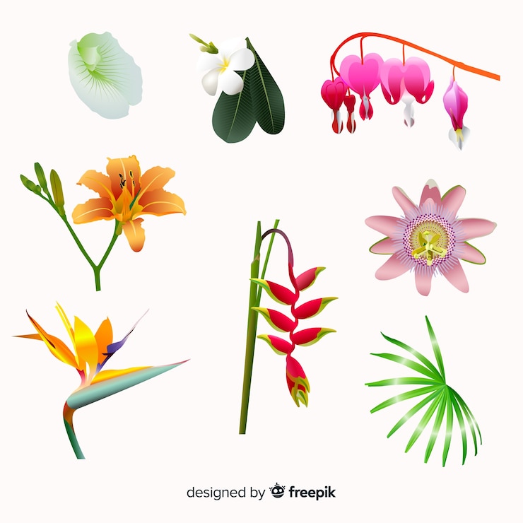 Vettore gratuito collezione di fiori tropicali