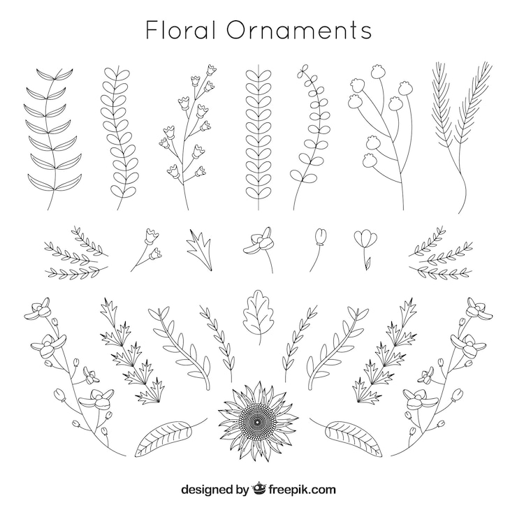 Vettore gratuito collezione di foglie decorate a mano disegnata