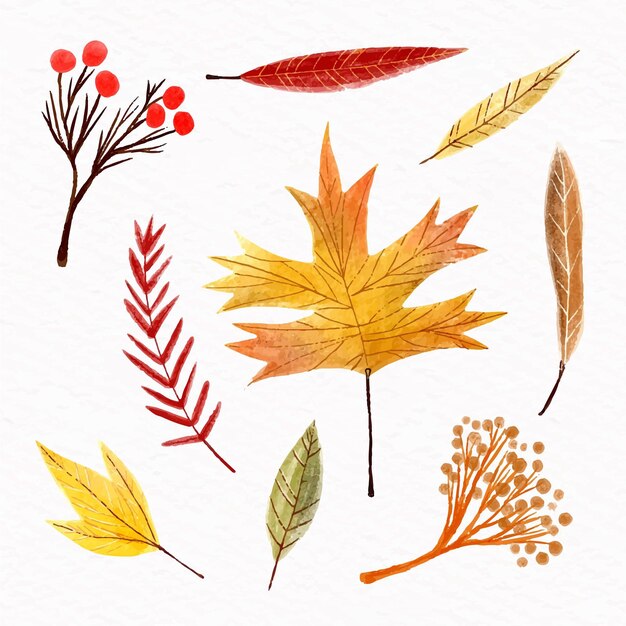 Collezione di foglie di autunno dell'acquerello