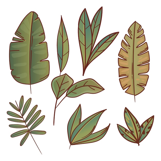 Collezione di foglie disegnate a mano