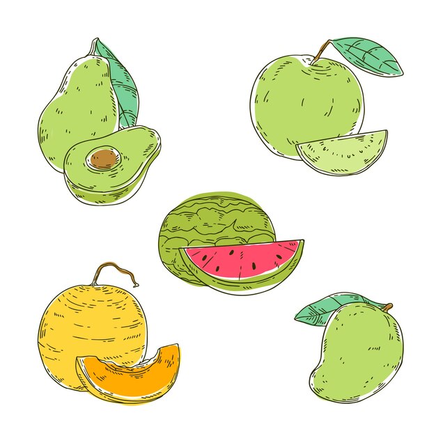Collezione di frutta incisa lineare disegnata a mano