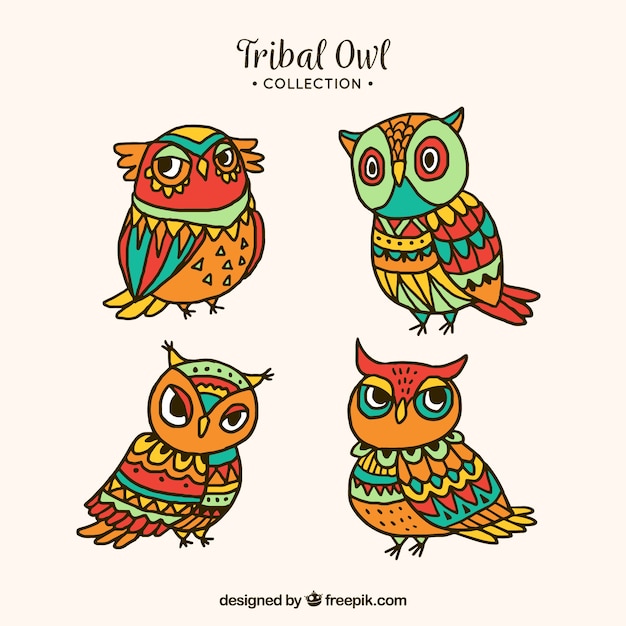 Collezione di gufi etnici colorati