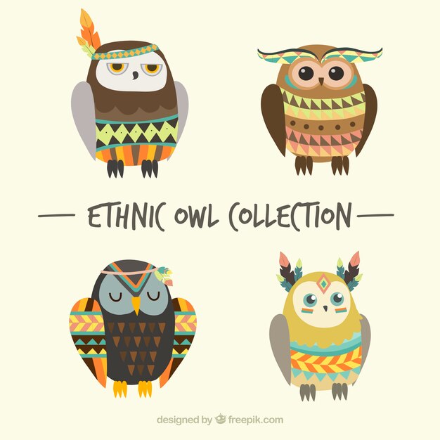 Collezione di gufi etnici
