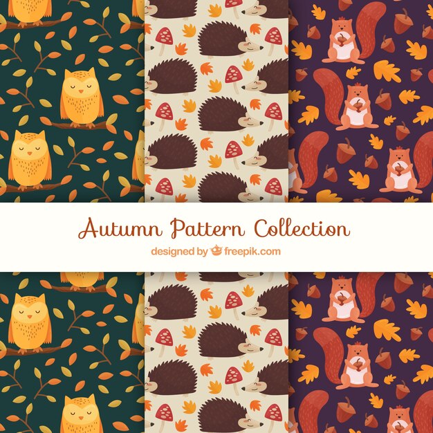 Collezione di modelli autunnali con simpatici animali