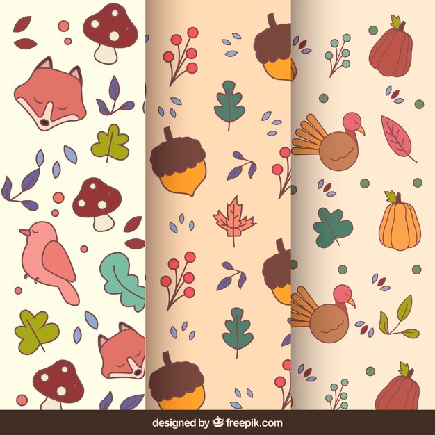 Collezione di modelli autunnali