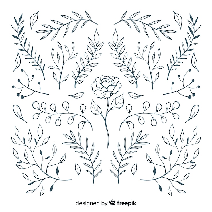 Vettore gratuito collezione di ornamenti floreali disegnati a mano