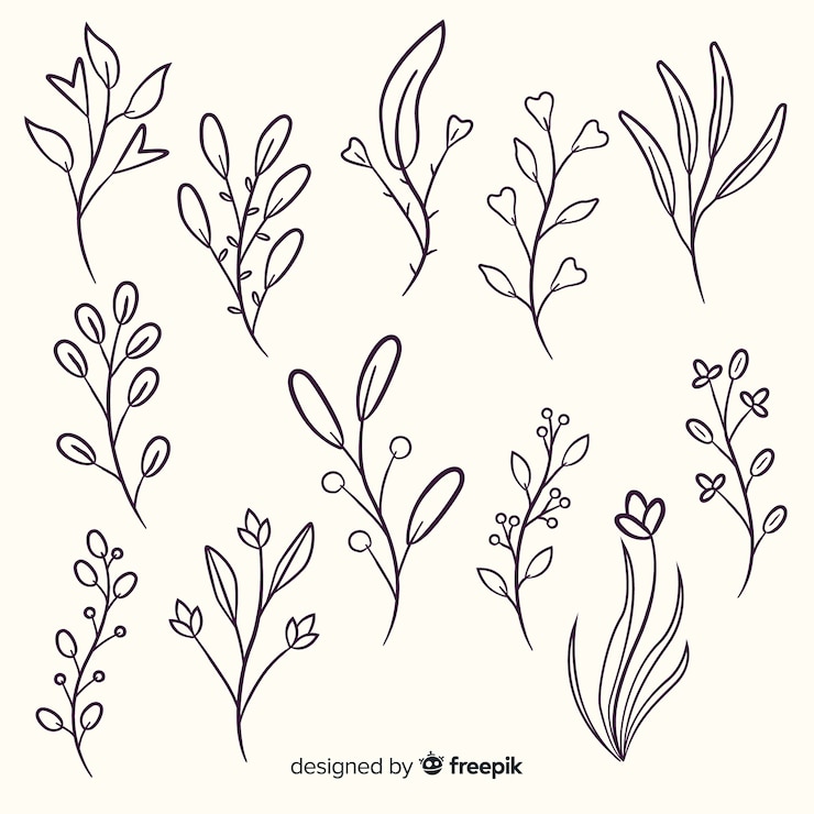 Vettore gratuito collezione di ornamenti floreali disegnati a mano