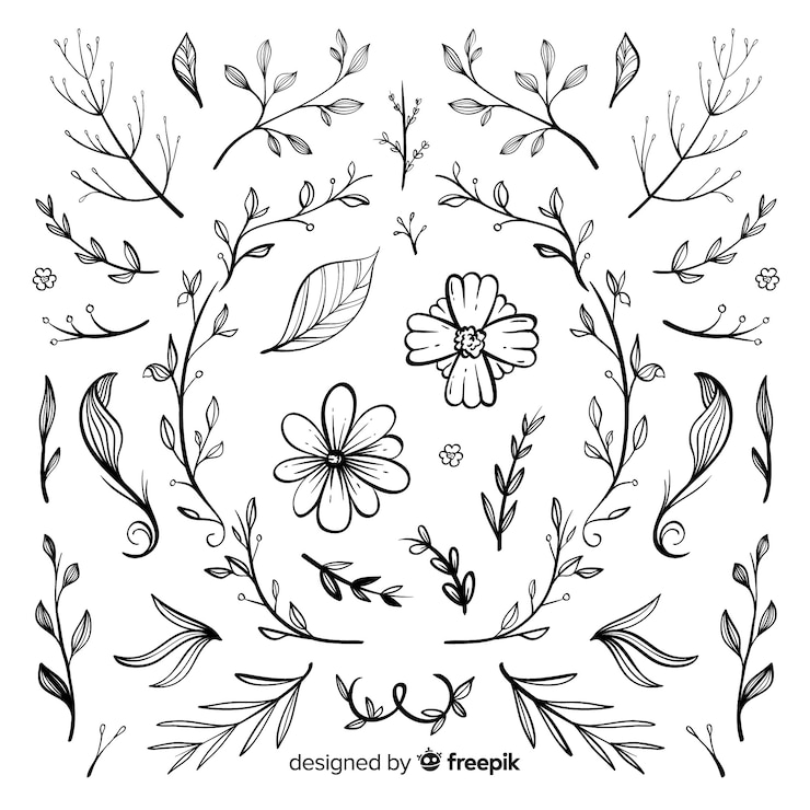 Vettore gratuito collezione di ornamenti floreali disegnati a mano
