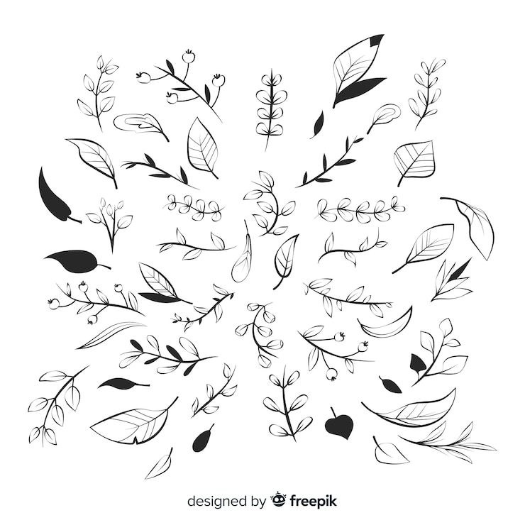 Vettore gratuito collezione di ornamenti floreali disegnati a mano