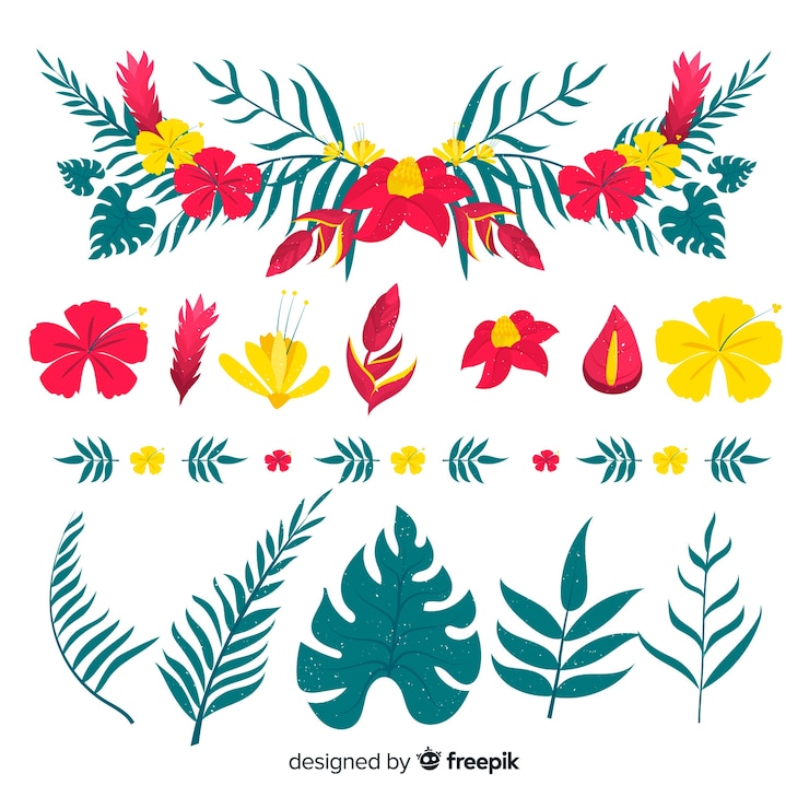Vettore gratuito collezione di ornamenti floreali