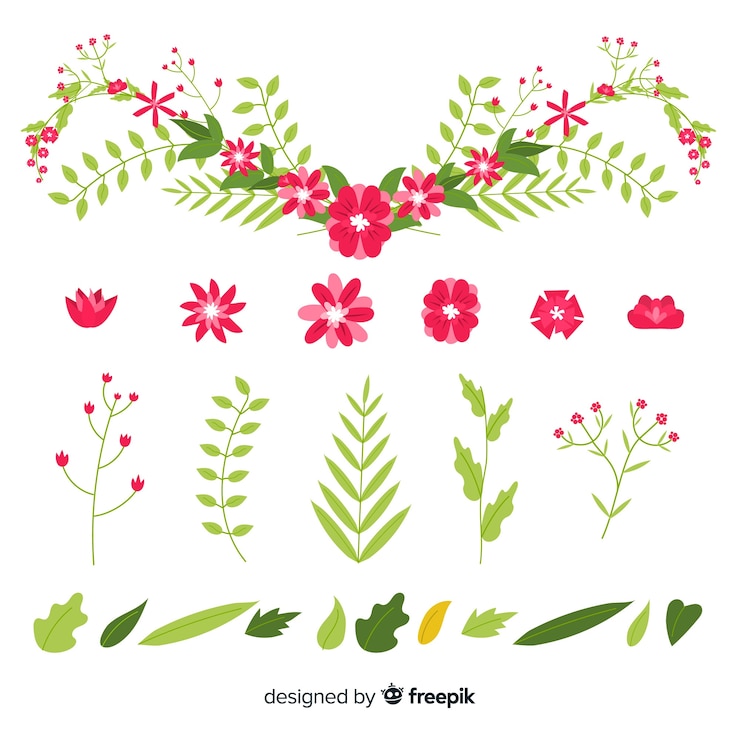 Vettore gratuito collezione di ornamenti floreali
