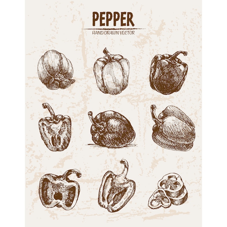 Vettore gratuito collezione di peperoni disegnati a mano
