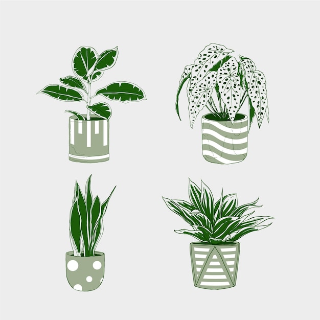 Collezione di piante d'appartamento disegnate a mano