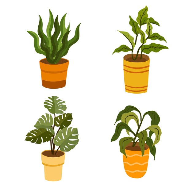 Collezione di piante d'appartamento piatte organiche