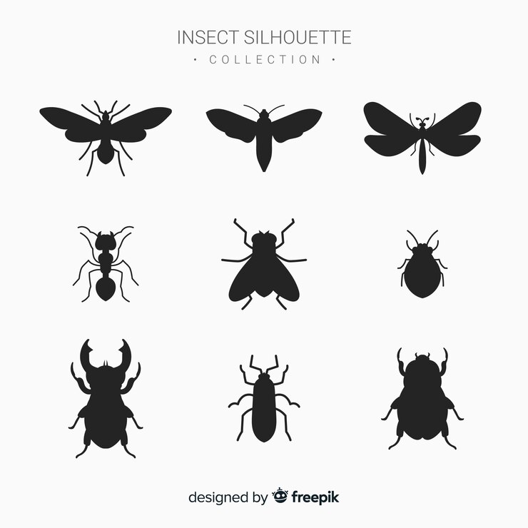 Vettore gratuito collezione di sagome di insetti piatto